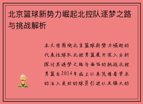 北京篮球新势力崛起北控队逐梦之路与挑战解析